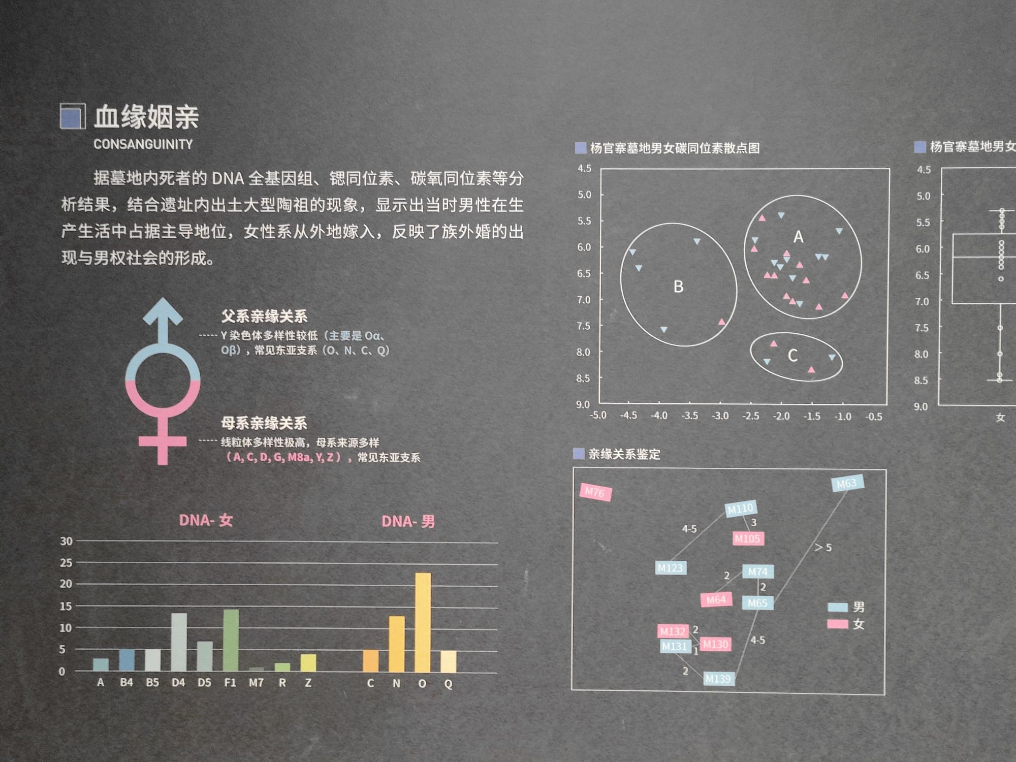 杨官寨DNA分析