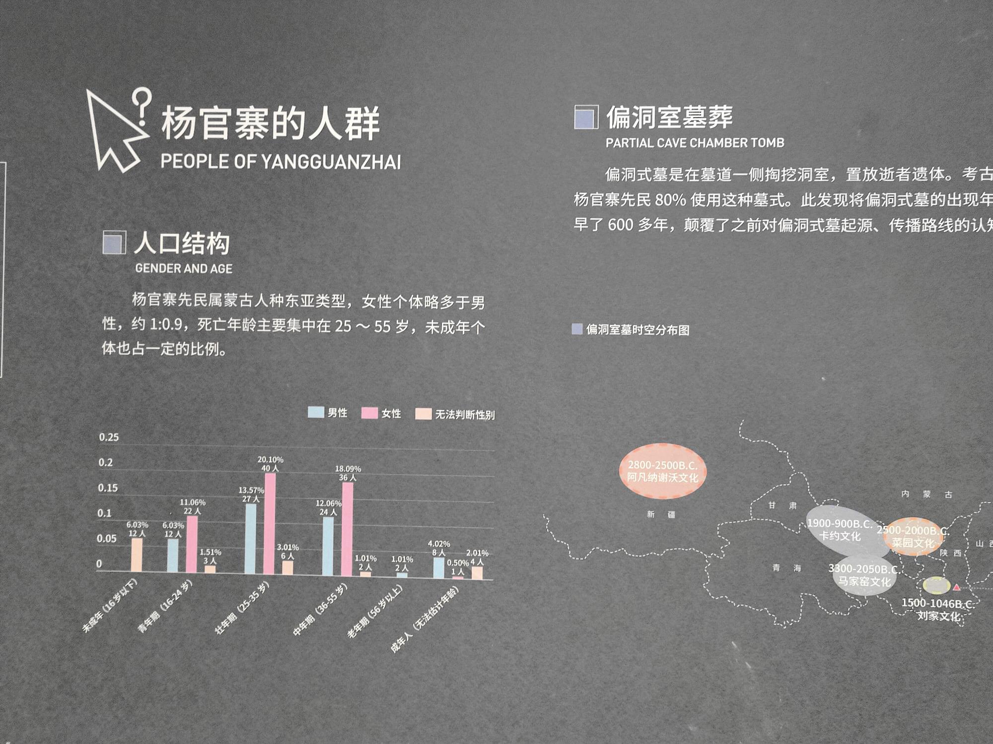 杨官寨人口结构与墓葬