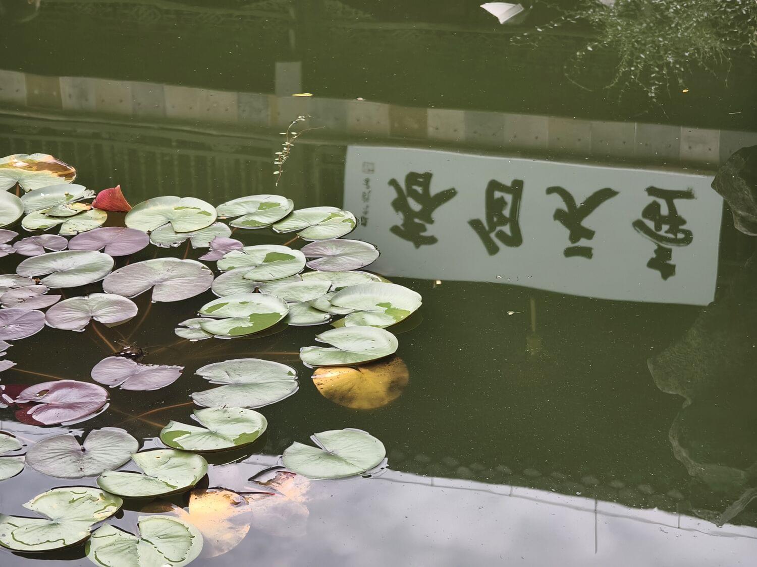 2025 十一·扬州漫步（上）