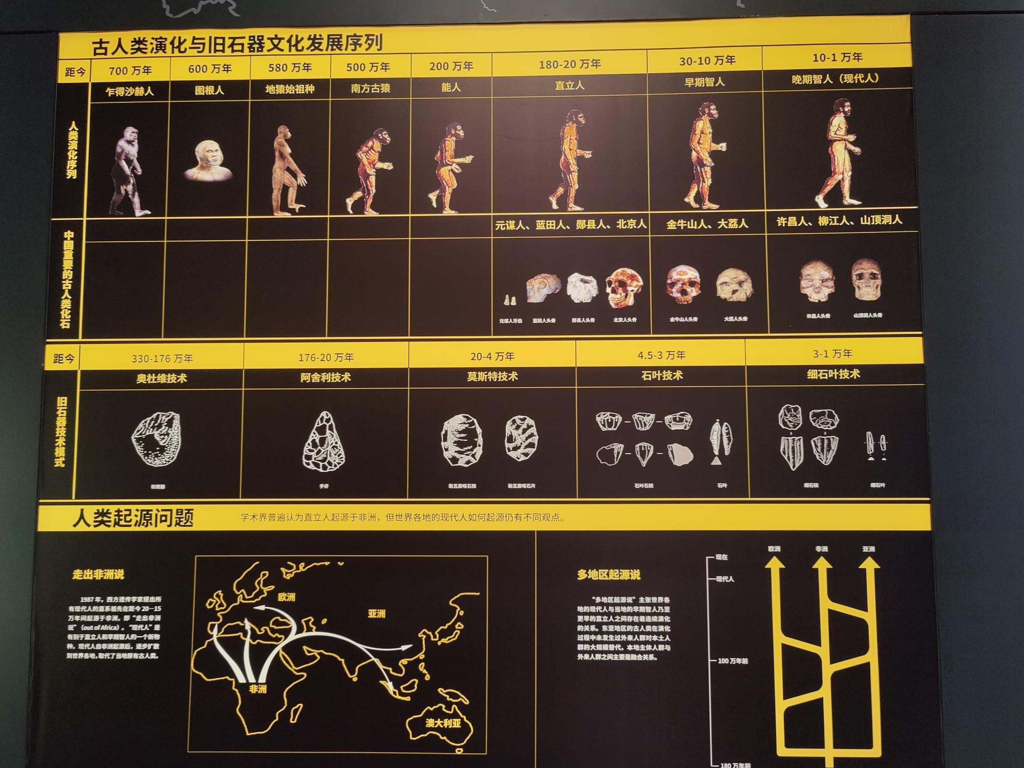 古人类演化